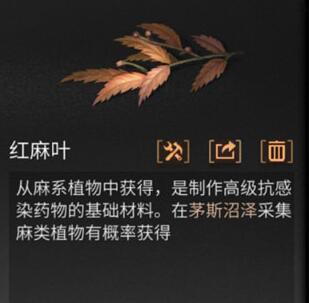 明日之后红麻叶怎么得